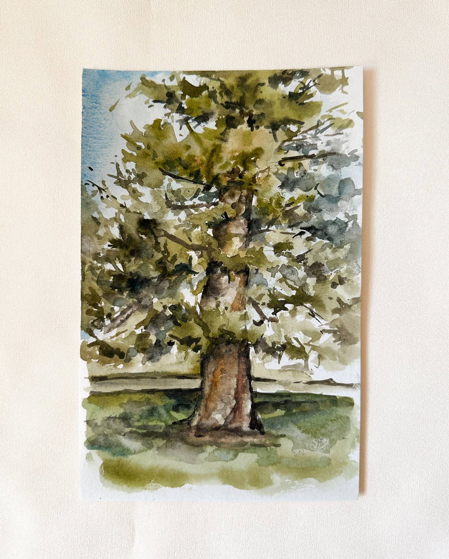 ORIGINAL Fir Tree