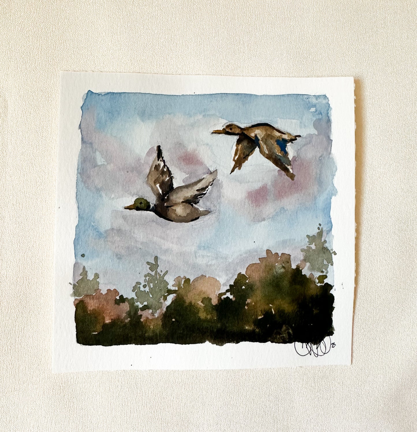 ORIGINAL Mallards in the Sky
