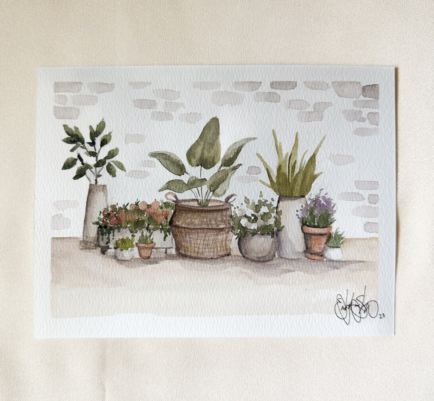ORIGINAL Pots and Plants