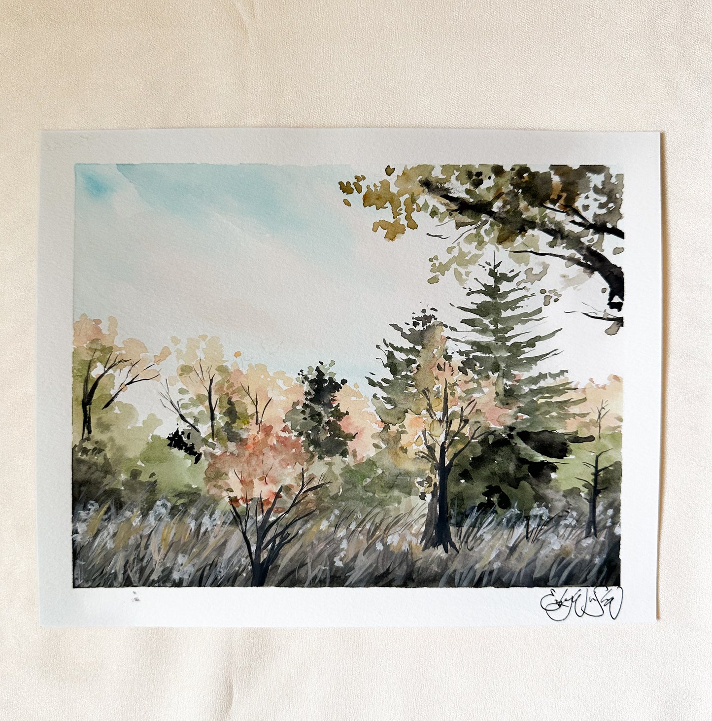 ORIGINAL Fall Trees