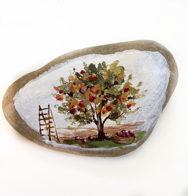 Fall Tree | Rock