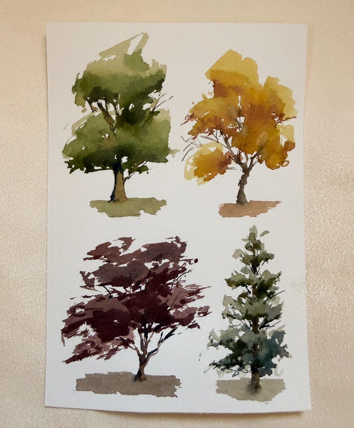 ORIGINAL Beauty in Trees