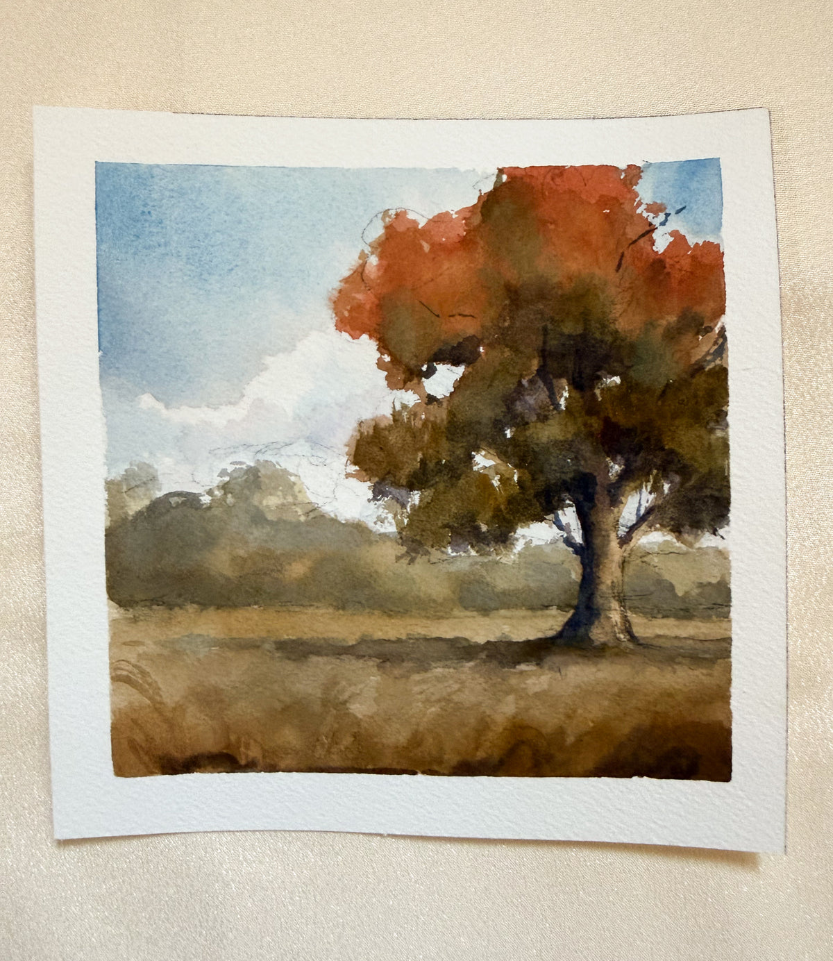 ORIGINAL Turning Seasons