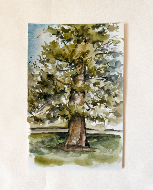 ORIGINAL Fir Tree