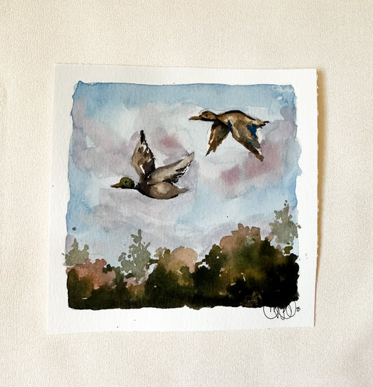 ORIGINAL Mallards in the Sky