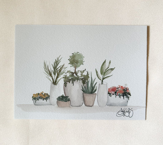 ORIGINAL Potted Plants