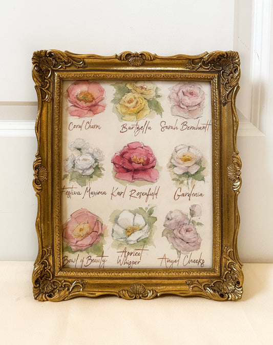 PRINT - Types of Peony Flowers