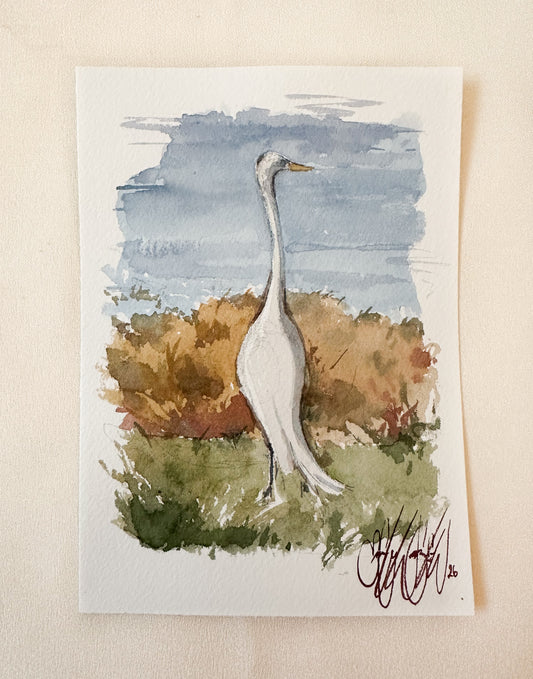 ORIGINAL Elegant Egret